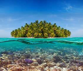 Image showing Coral reef and the Island
