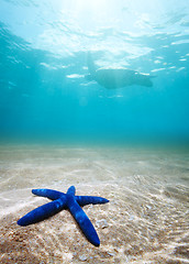 Image showing Blue starfish deep underwater