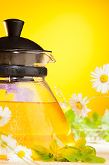 Image showing glass teapot with chamomile tea