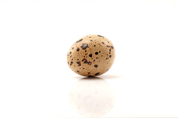 Image showing Quail egg