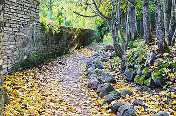 Image showing Footpath in fallen down leaves in autumn park