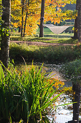 Image showing A hammock near the pond in autumn Park 