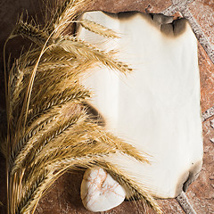 Image showing Wheat ears on vintage background 