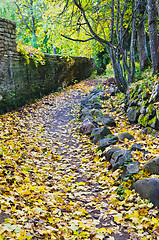 Image showing Footpath in fallen down leaves in autumn park