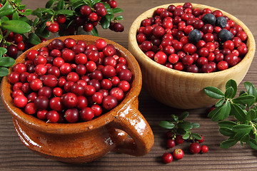 Image showing Cranberries