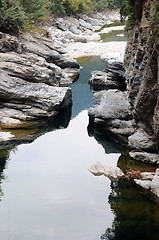 Image showing River landscape