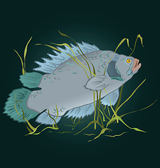 Image showing Fish in seaweed  vector