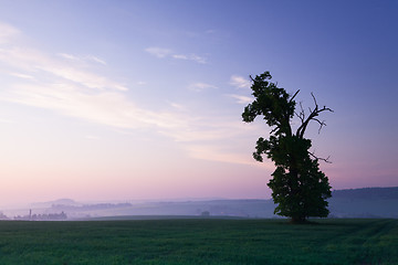 Image showing Memorable oak 