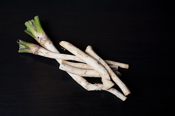 Image showing horseradish