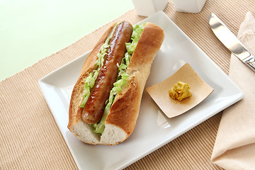 Image showing Pork And Cabbage Hot Dog