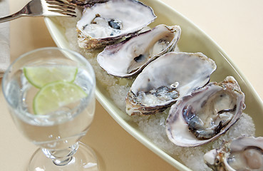 Image showing Oysters Natural