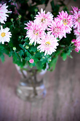 Image showing pink chrysanthemum in glass vase