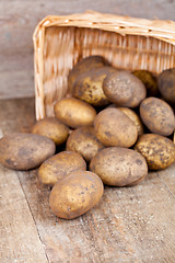 Image showing basket with fresh potatoes 