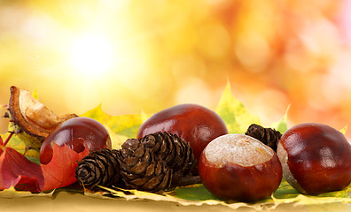 Image showing colorful autumn leaves chestnuts and pine cones