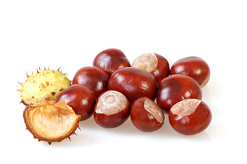 Image showing chestnut with crust on a white