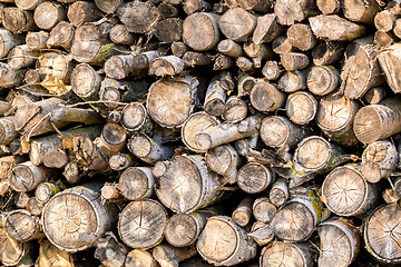 Image showing wood in pile outdoor 