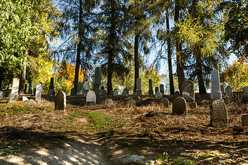 Image showing forgotten and unkempt Jewish cemetery with the strangers