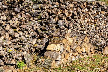 Image showing wood in pile outdoor 