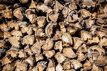 Image showing wood in pile outdoor 