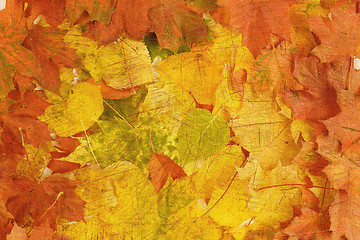 Image showing retro composition from autumn leaves