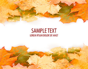 Image showing orange autumn leaves frame