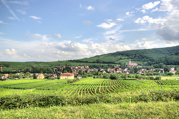 Image showing Alsace landscape and vinewyard