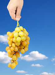 Image showing Bunch of fresh green grapes