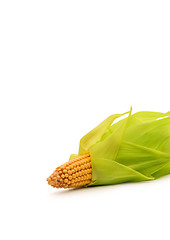 Image showing Corns