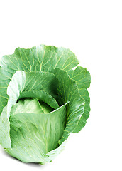 Image showing Head of green cabbage