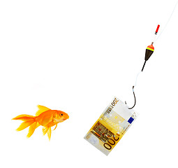 Image showing Goldfish