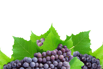 Image showing Bunch of fresh grapes