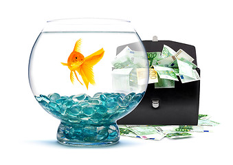 Image showing Goldfish with money 