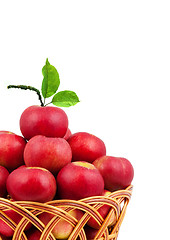 Image showing Basket of apples