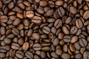 Image showing Brown roasted coffee beans