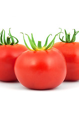 Image showing Tomatos