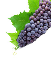 Image showing Grape