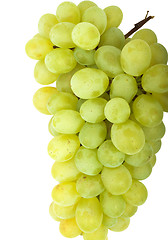 Image showing Grape