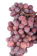 Image showing Grape