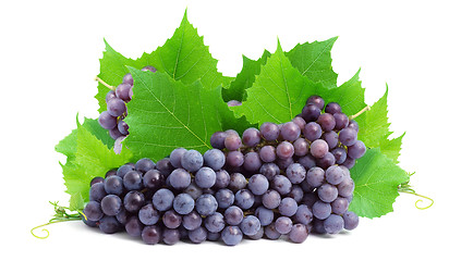 Image showing Bunch of fresh grapes