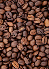 Image showing Background of coffee bean
