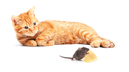 Image showing Mouse and cat