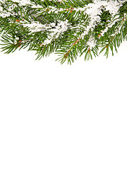 Image showing Christmas framework with snow