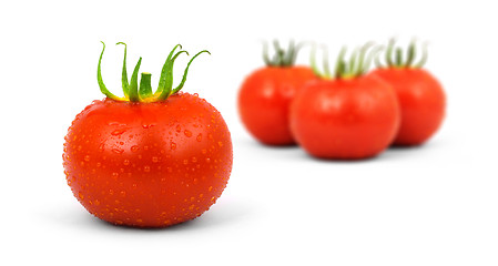 Image showing Tomatos