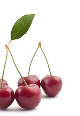 Image showing Red cherries