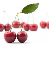 Image showing Red cherries