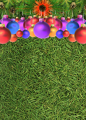 Image showing Christmas spruce  texture
