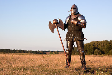 Image showing Medieval knight