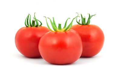 Image showing Tomatos