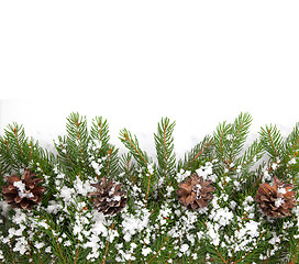 Image showing Christmas framework with snow and cones