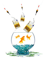 Image showing Goldfish